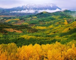 Autumn Mosaic Below the Raggeds Range (1998) Autumn Mosaic