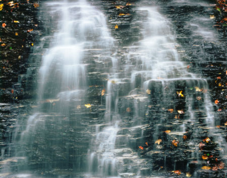 Cascade, Fallen Leaves