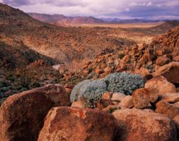 Boulders, Anza-Borrego Desert (1997) Boulders, Anza-Borrego