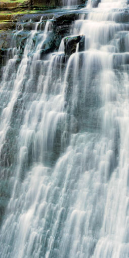 Braided Fall (2006) Braided Fall