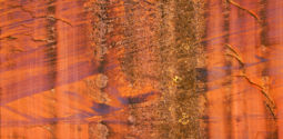 Canyon Abstract (2002) Canyon Abstract