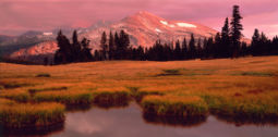 Alpenglow on Dana Meadow (2002) Dana Meadow