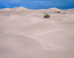 Magic Light, Death Valley Dunes (1998) Dunes