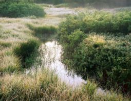 Early Frost (2002)