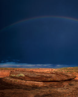 End of the Storm (1998)
