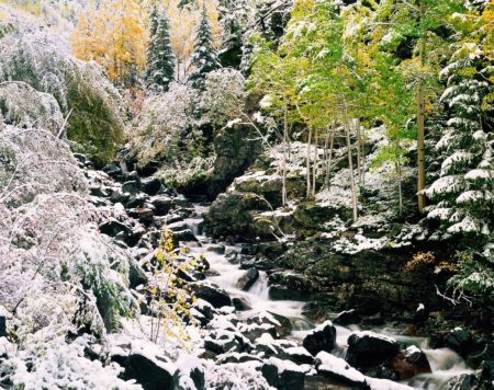 First Snow