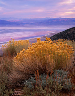 Twilight, Owens Valley (1997) Owens Valley