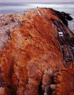 Sandstone, Ghostly Gulls, and the Pacific in Motion (2014) Sandstone Pacific