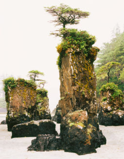 Seastacks and Fog (2006) Seastacks, Fog