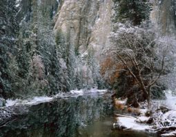 New Snow, Yosemite (1998) New Snow, Yosemite