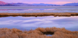 Soda Lake after Winter Rain (1998) Soda Lake