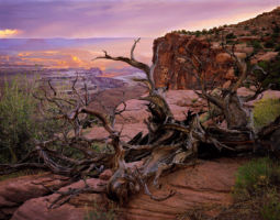 Storm Over the Green River (1997) Canyonlands