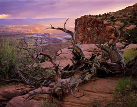 Canyonlands