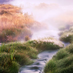 Morning Mist Rising (2004) Morning Mist Rising