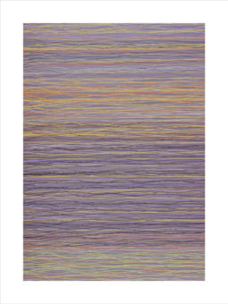 Threadscape #2 (2011) <br /><span>Archival Pigment on Hahnemuhle Museum Etching Paper<br />30" x 40" print size, 35" x 45" framed</span> Threadscape_dense_gray-web-800_v2