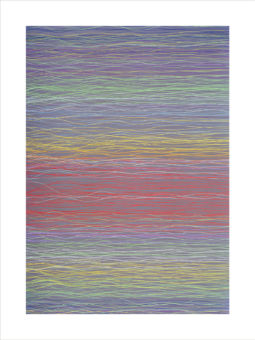 Threadscape #1 (2011) <br /><span>Archival Pigment on Hahnemuhle Museum Etching Paper<br />30" x 40" print size, 35" x 45" framed</span> Threadscape_warm-web-800_v2