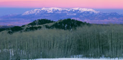 Winter Twilight (1998) Winter Twilight