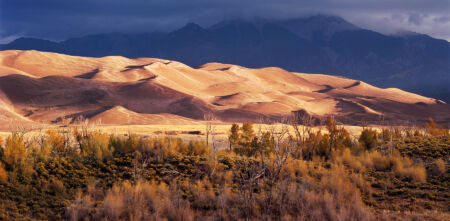 Early Light, Dunes