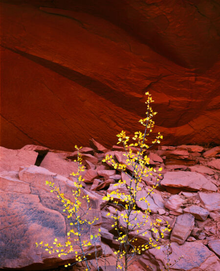 Canyon Grotto